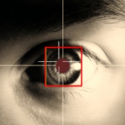 Eye-Tracking или как ваш взгляд движется по сайту